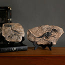 Retro gray and beige dino fossil animal statue living room decor