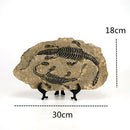 Retro gray and brown dinosaur fossil figurine living room decor
