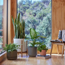 1st Generation, Ceramic Cylinder, With or Without Rounded Teak Stand (FINAL SALE)