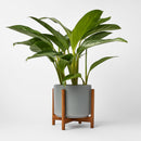 1st Generation, Ceramic Cylinder, With or Without Rounded Teak Stand (FINAL SALE)