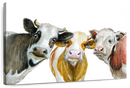 Cows Wall Art