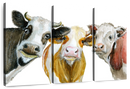 Cows Wall Art