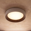 Ribata Ceiling Light