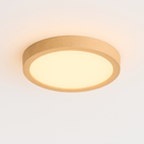Richna Ceiling Light