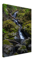 River Flow - Print