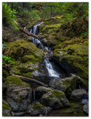 River Flow - Print