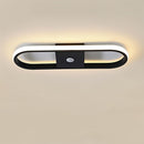 Rohesia Ceiling Light
