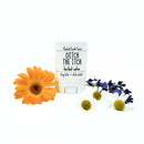 Ditch the Itch Salve