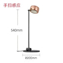Rose gold designer fishing floor lamp for living room