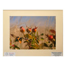 Hummingbird Photograph | 8x10 Image | 2 The Ends of the Earth
