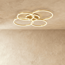 Roshan Ceiling Light