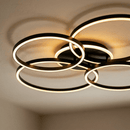 Roshan Ceiling Light