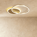 Roshan Ceiling Light