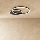 Roshan Ceiling Light