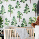 Cedar Wallpaper