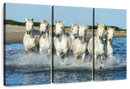 7 Horses Wall Art