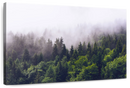 Misty Pine Forest Wall Art