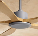 Ruha Ceiling Fan