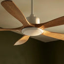 Ruha Ceiling Fan
