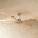 Ruha Ceiling Fan