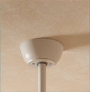 Ruha Ceiling Fan