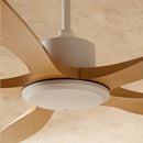 Ruha Ceiling Fan