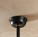 Ruha Ceiling Fan