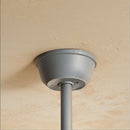 Ruha Ceiling Fan