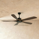 Ruha Ceiling Fan
