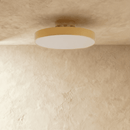 Rupert Ceiling Light