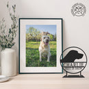 Pet Memorial Plaque - 2 Styles - Personalized Animal Pet Grave Markers