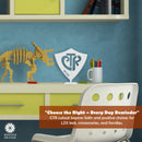 Choose the Right Stand Up Shield With Name - CTR Custom Metal Sign Baptism Boy and Girl Gifts