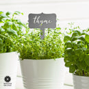 Window Garden Markers - Single - Herb Garden Plant Identification Stakes