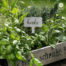 Window Garden Markers - Your Favorite 5 - Herb Garden Plant Identification Stakes