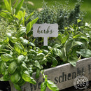 Window Garden Markers - Your Favorite 5 - Herb Garden Plant Identification Stakes