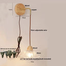 Rustic wood and brass wall light with clear glass pull chain switch