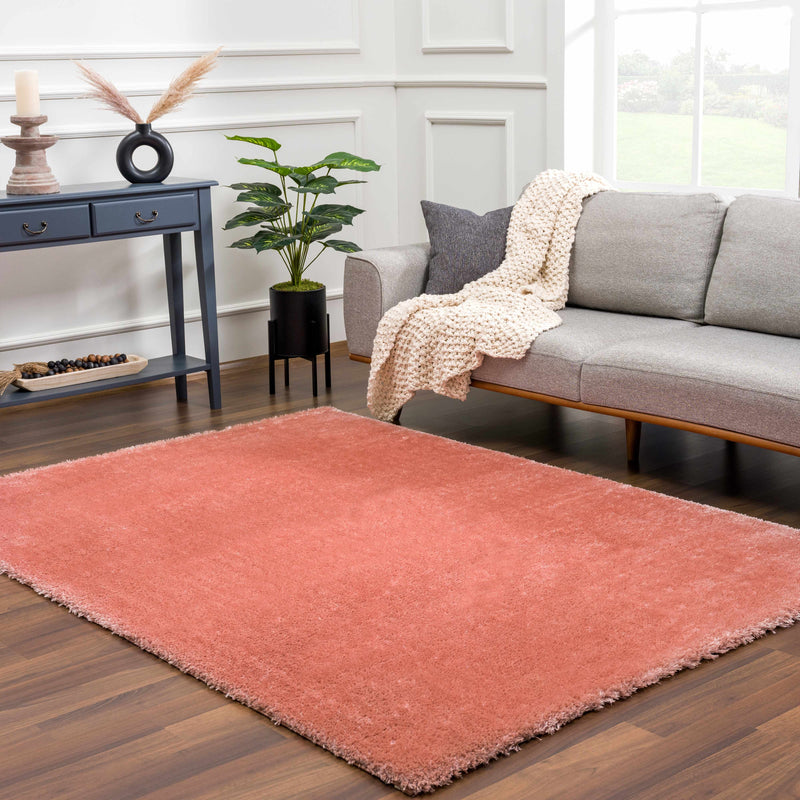 Heavenly Solid Pink Plush Rug