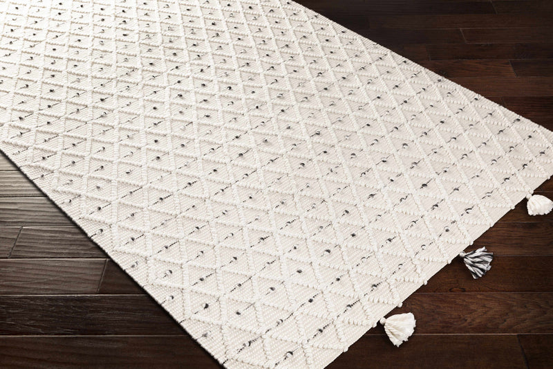 Sadleir Flatweave Performance Rug