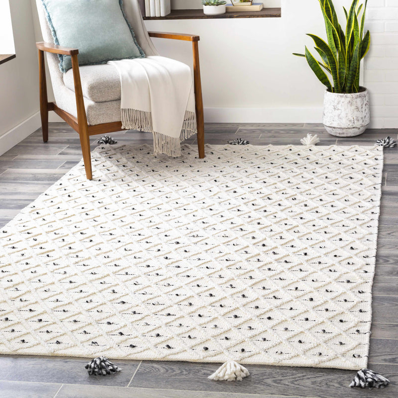 Sadleir Flatweave Performance Rug