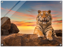 Safari Tiger - Print