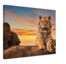 Safari Tiger - Print