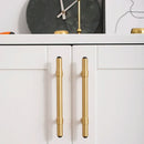 Sakas Knob & Pull Bar