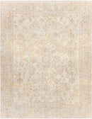 The Aimes Rug
