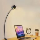 Saros Novelty Lamp