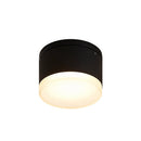 Sarwan Outdoor Surface Mount Light