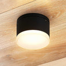 Sarwan Outdoor Surface Mount Light