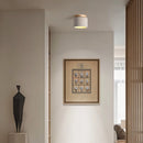 Sasil Downlight