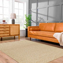 The Ayers Rug