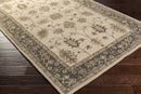 Schenevus Area Rug