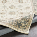 Schenevus Area Rug